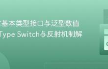 Go语言基本类型接口与泛型数值处理：Type Switch与反射机制解析