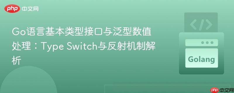 Go语言基本类型接口与泛型数值处理:Type Switch与反射机制解析
