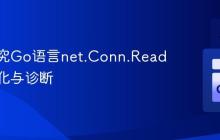 深入探究Go语言net.Conn.Read性能优化与诊断