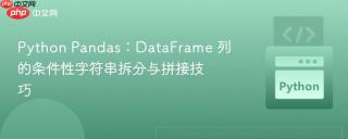 Python Pandas：DataFrame 列的条件性字符串拆分与拼接技巧