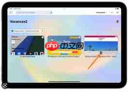 Safari插件冲突致页面崩溃如何解决