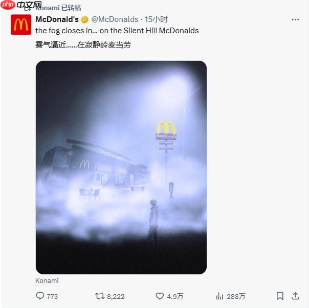 “梦里都是开心乐园餐!” 麦当劳疑似联动《寂静岭》