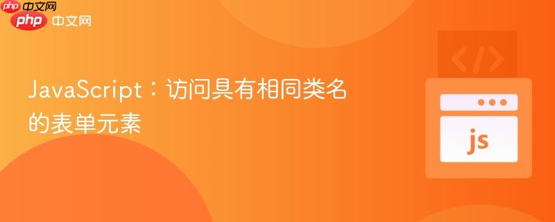 JavaScript：访问具有相同类名的表单元素