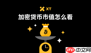 如何判断加密货币前景价值