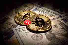 如何判断加密货币前景价值