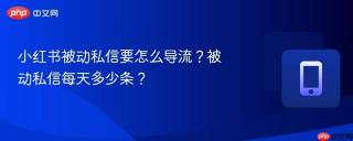 小红书被动私信要怎么导流？被动私信每天多少条？