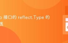 获取 Go 接口的 reflect.Type 的最佳实践