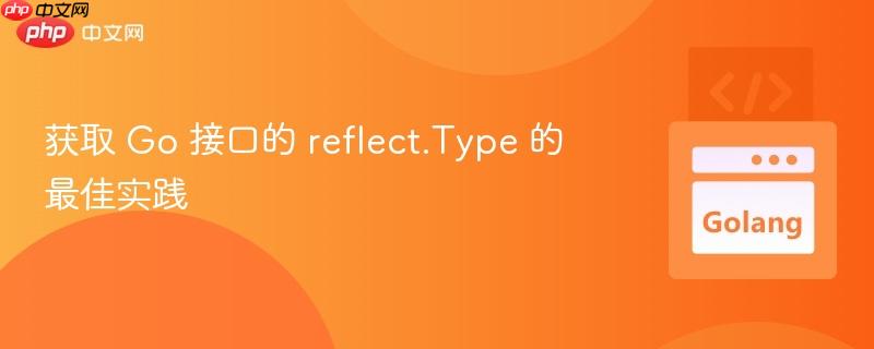 获取 go 接口的 reflect.type 的最佳实践