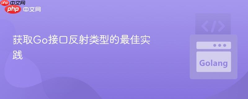 获取go接口反射类型的最佳实践