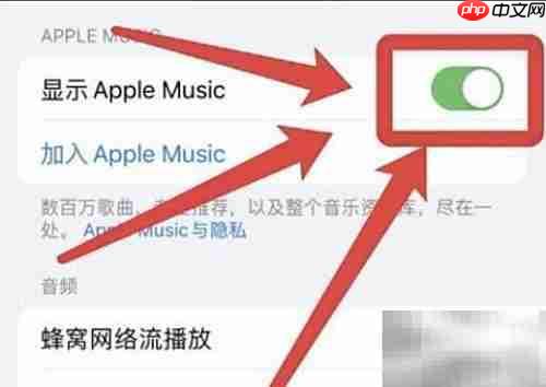 iPhone如何显示音乐应用