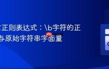 Go语言正则表达式：\b字符的正确使用与原始字符串字面量