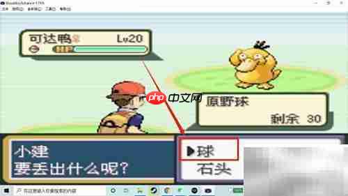 火红版可达鸭捕捉攻略