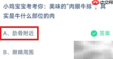 蚂蚁庄园7.5肉眼牛排答案