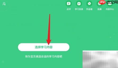 斑马APP音乐体验版入口