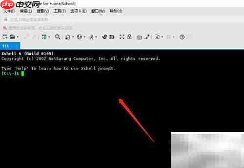 Xshell使用Real Windows CMD指南