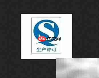 仙乐制药资质全解析