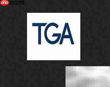 仙乐制药资质全解析