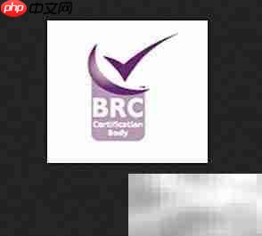 仙乐制药资质全解析