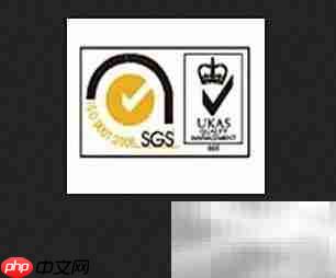 仙乐制药资质全解析