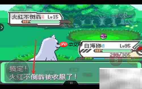 火红版不倒翁捕捉地点