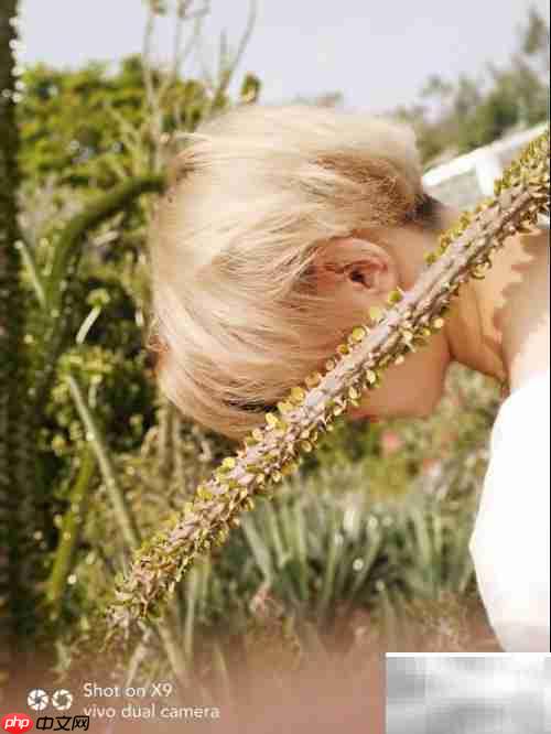 2000万像素手机推荐