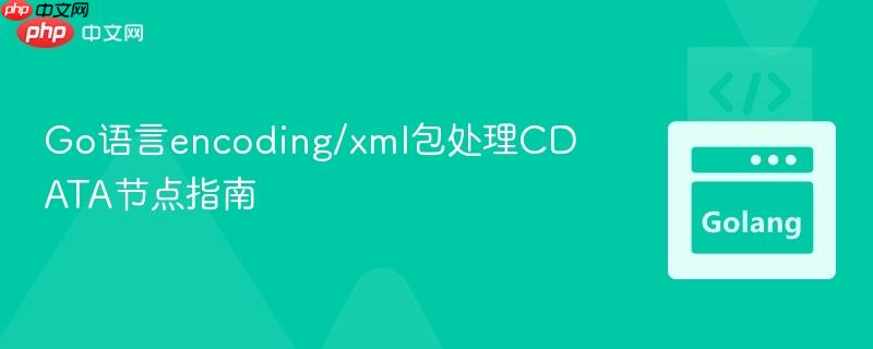 Go语言encoding/xml包处理CDATA节点指南