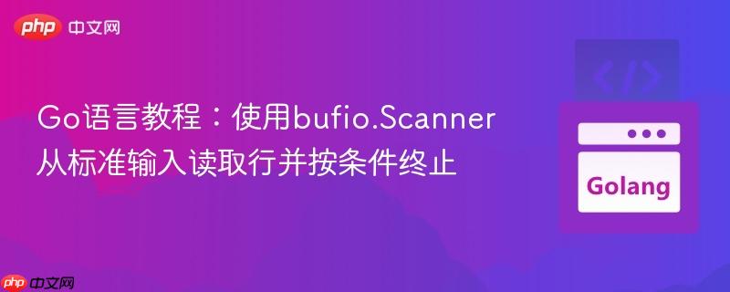 Go语言教程:使用bufio.Scanner从标准输入读取行并按条件终止