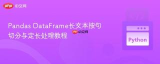 Pandas DataFrame长文本按句切分与定长处理教程