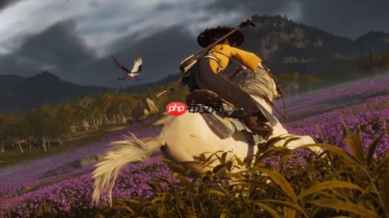 PlayStation国区官方账号玩梗宣传《羊蹄山之魂》：大东北是我的家乡~