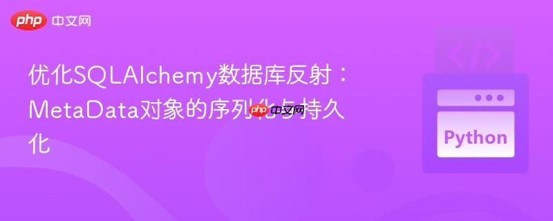 优化SQLAlchemy数据库反射：MetaData对象的序列化与持久化