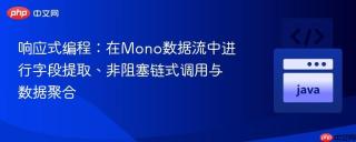响应式编程：在Mono数据流中进行字段提取、非阻塞链式调用与数据聚合