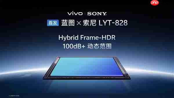 vivo X300系列首发索尼LYT-828：挑战专业视频能力