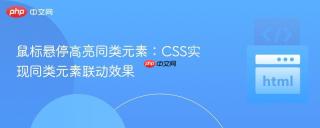 鼠标悬停高亮同类元素：CSS实现同类元素联动效果