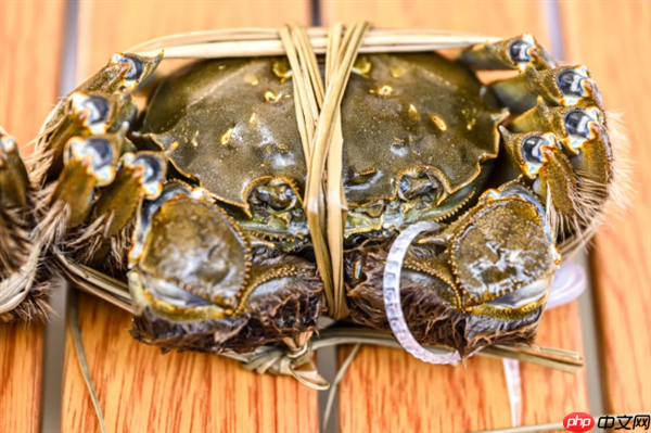 开湖!第一篓阳澄湖大闸蟹由顺丰无人机捞起