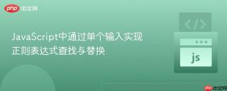 JavaScript中通过单个输入实现正则表达式查找与替换