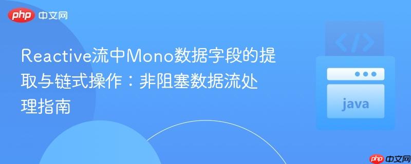 Reactive流中Mono数据字段的提取与链式操作：非阻塞数据流处理指南