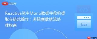 Reactive流中Mono数据字段的提取与链式操作：非阻塞数据流处理指南