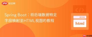 Spring Boot：将后端数据特定字段映射至HTML视图的教程