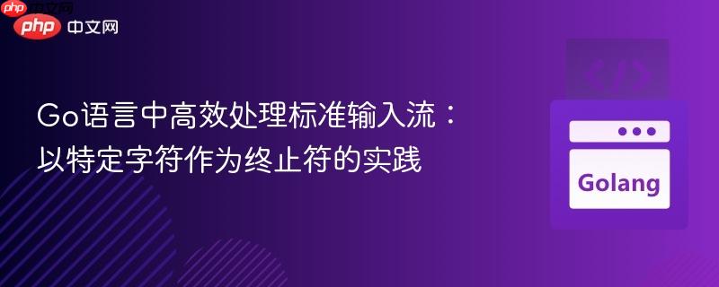 Go语言中高效处理标准输入流:以特定字符作为终止符的实践