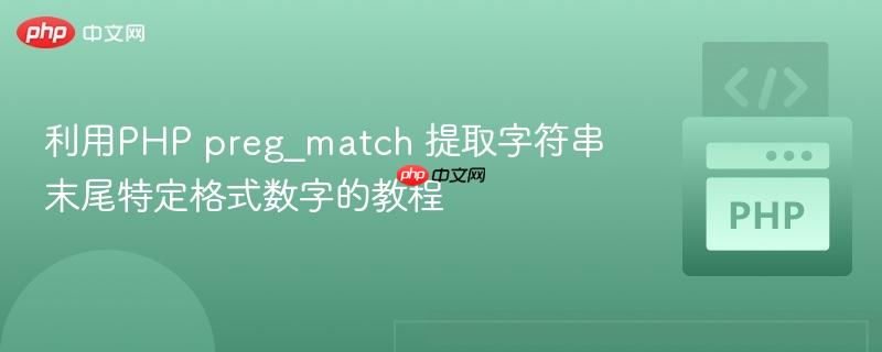利用PHP preg_match 提取字符串末尾特定格式数字的教程
