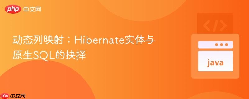 动态列映射:Hibernate实体与原生SQL的抉择