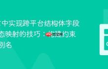Go语言中实现跨平台结构体字段类型动态映射的技巧：构建约束与类型别名