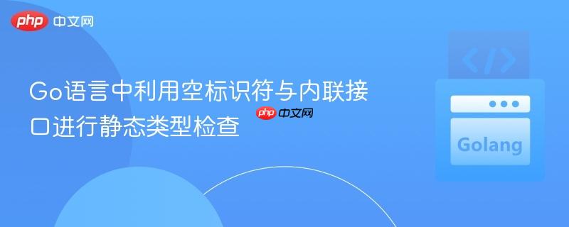 go语言中利用空标识符与内联接口进行静态类型检查