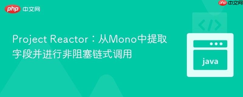 Project Reactor：从Mono中提取字段并进行非阻塞链式调用
