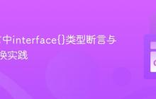 Go语言中interface{}类型断言与安全转换实践