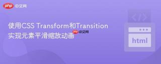使用CSS Transform和Transition实现元素平滑缩放动画