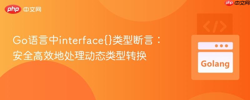 Go语言中interface{}类型断言：安全高效地处理动态类型转换
