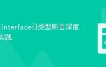 Go语言interface{}类型断言深度解析与实践