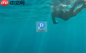 Bandicut如何更改语言