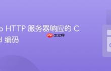禁用 Go HTTP 服务器响应的 Chunked 编码